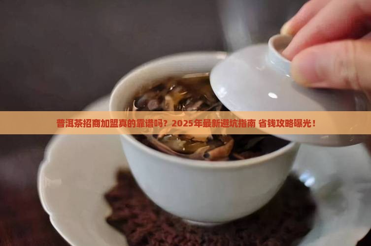 普洱茶招商加盟市场如何