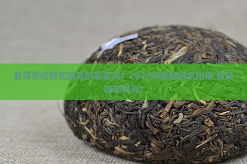 普洱茶招商加盟市场如何