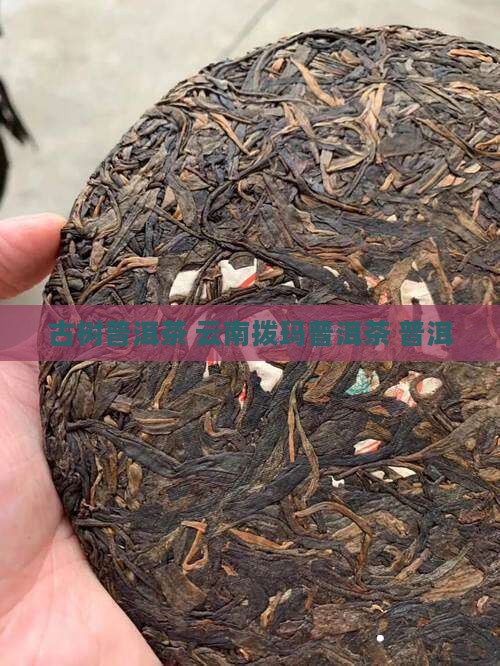 云南拨玛普洱茶