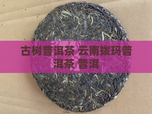 云南拨玛普洱茶