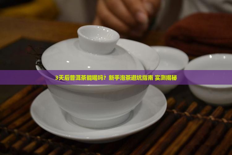 普洱茶泡茶几天可以喝了