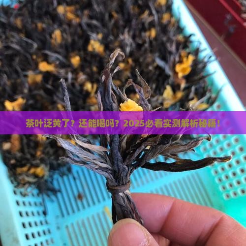茶叶颜色变黄还能喝吗