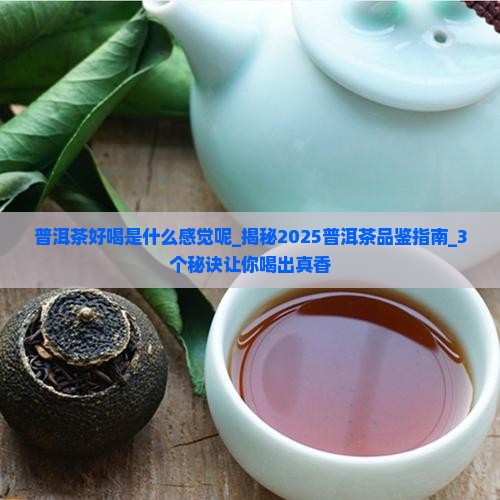 普洱茶好喝是什么感觉呢