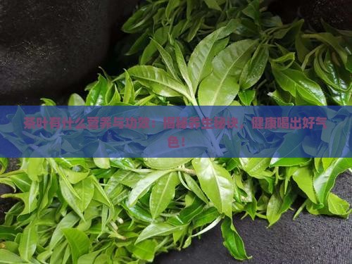 茶叶有什么营养与功效
