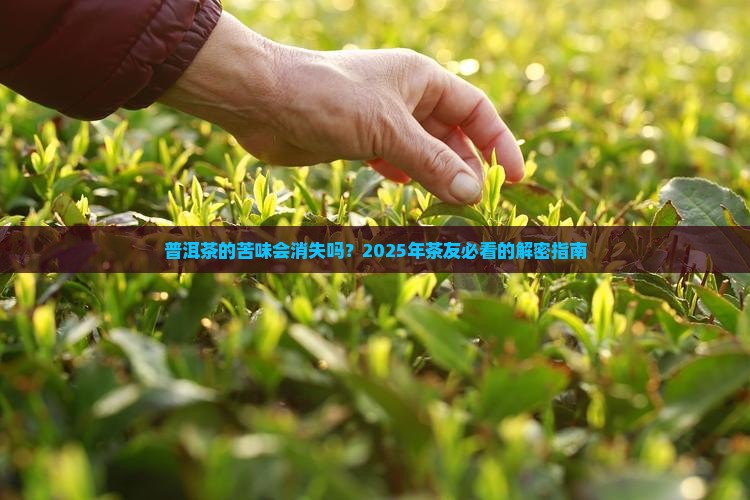 普洱茶中的苦会转化吗
