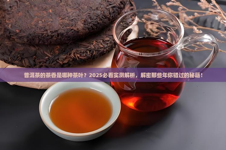 普洱茶的茶香是哪种茶叶