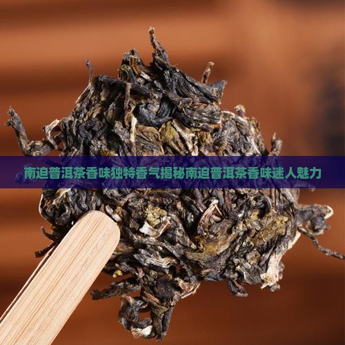南迫普洱茶香味