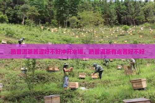 熟普洱茶苦涩好不好冲开水