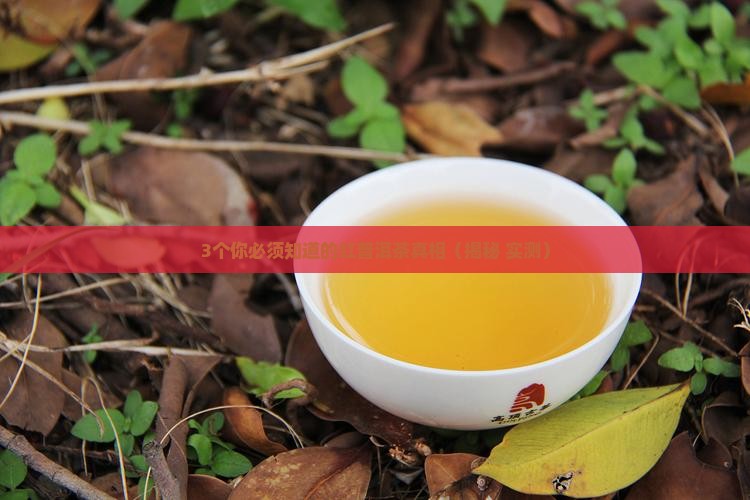 红普洱茶的功效与作用及禁忌
