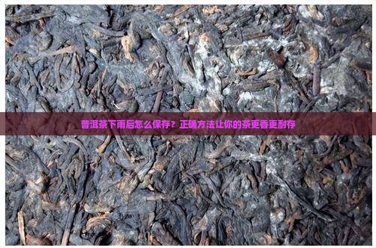 普洱茶下雨后怎么保存