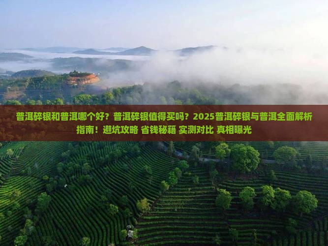 普洱碎银和普洱哪个好些