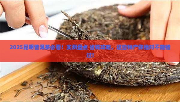 昆明普洱茶特产推荐