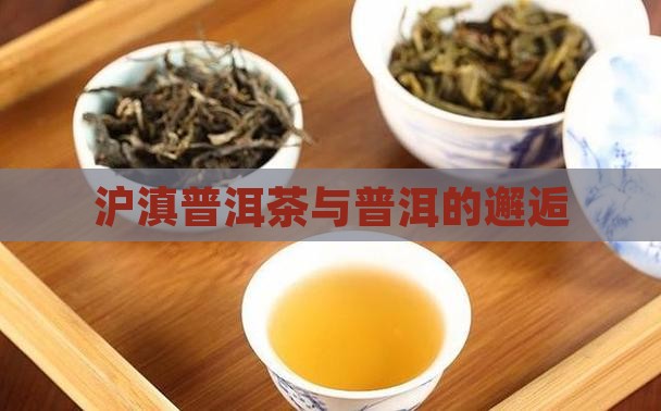 沪滇普洱茶啊拉