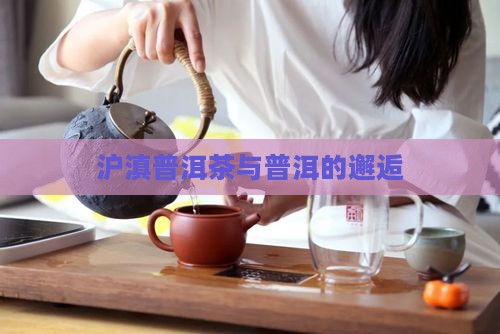 沪滇普洱茶啊拉
