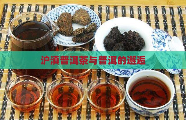 沪滇普洱茶啊拉