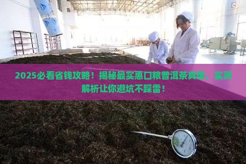 最实惠的口粮普洱茶排名