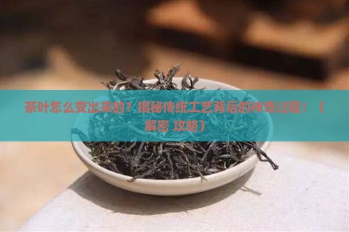 茶叶的加工工艺流程是什么