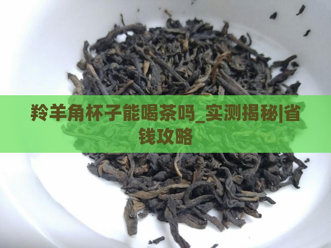 羚羊角杯子能喝茶吗