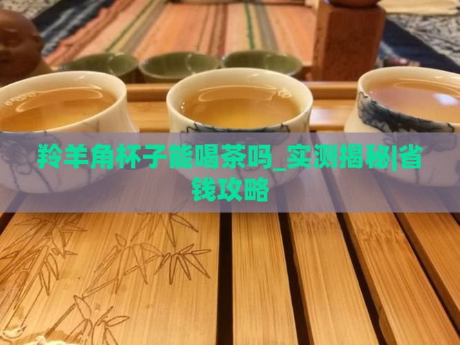 羚羊角杯子能喝茶吗