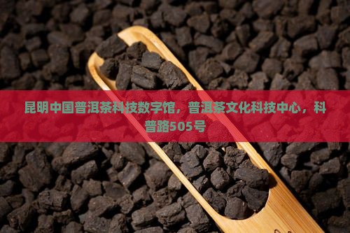 昆明中国普洱茶科技数字馆
