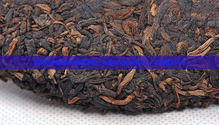 昆明中国普洱茶科技数字馆