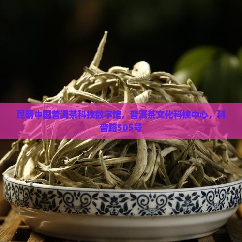 昆明中国普洱茶科技数字馆