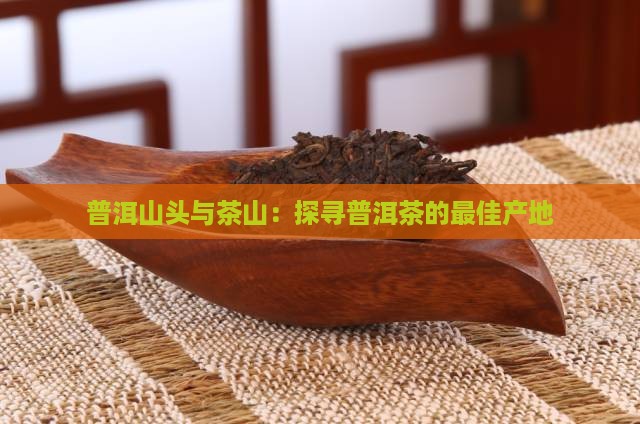 普洱哪个山头的茶好