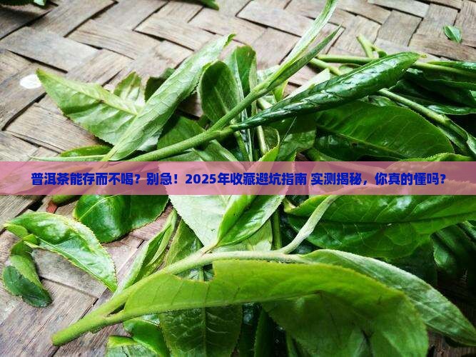 普洱茶能存而不喝吗