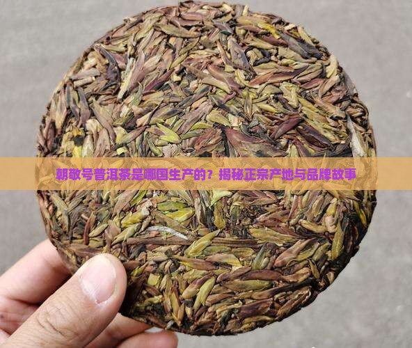 朝敬号普洱茶是哪国生产的