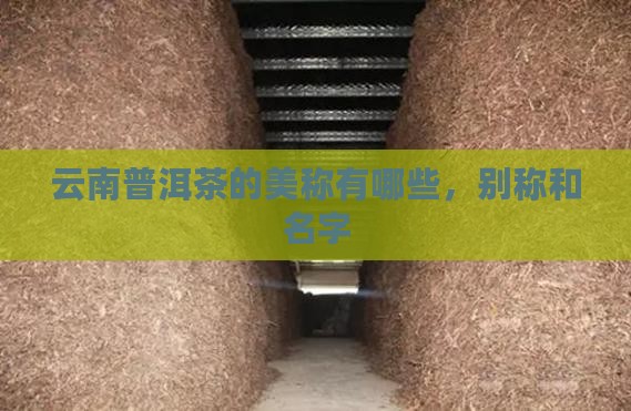 云南普洱茶的美称