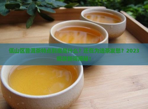 佤山区普洱茶特点