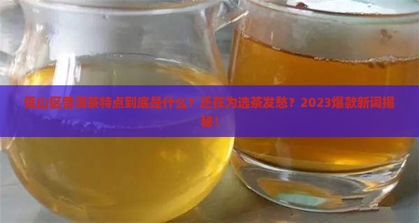 佤山区普洱茶特点