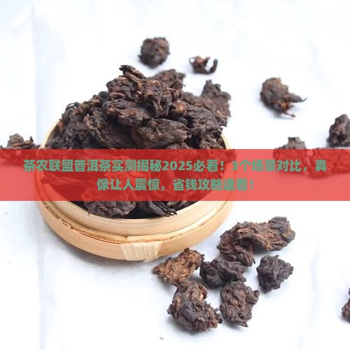 茶农联盟普洱茶怎么样