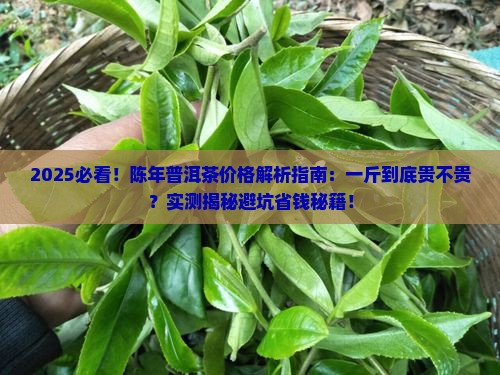 陈年普洱茶的价格是多少钱一斤