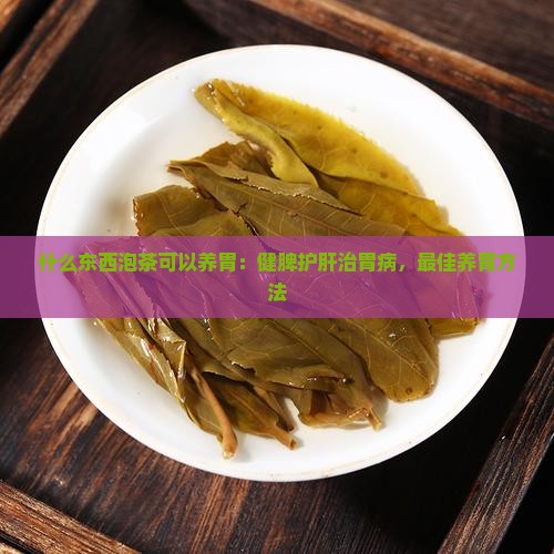 什么东西泡茶可以养胃