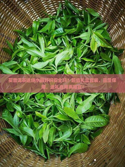 买普洱茶送烧水器好吗安全吗