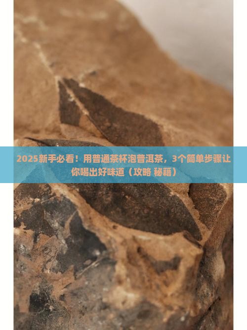 普洱茶怎样用茶杯泡