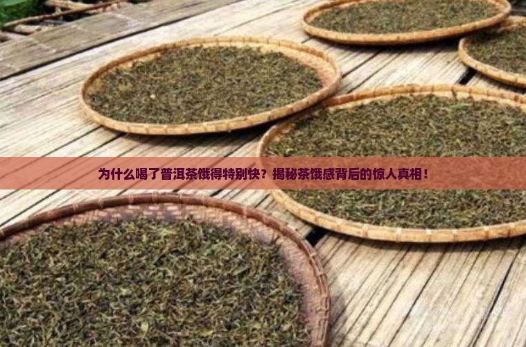 喝了普洱茶饿得特别快什么原因
