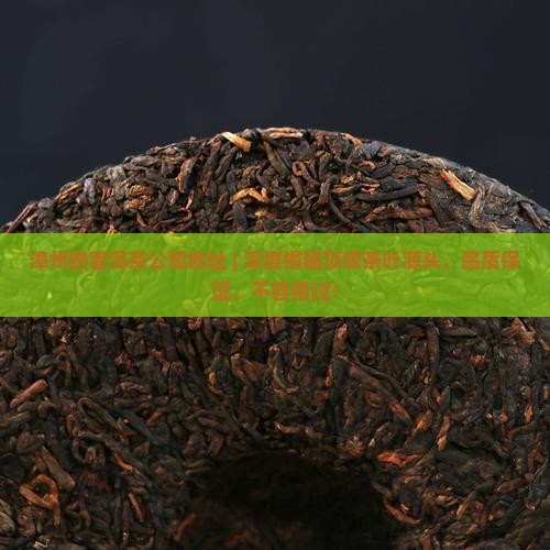 漳州熟普洱茶公司地址