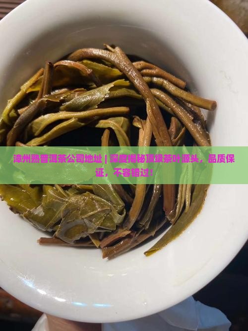 漳州熟普洱茶公司地址