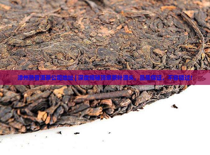 漳州熟普洱茶公司地址