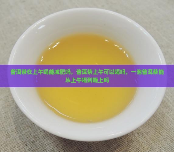 普洱茶在上午喝能减肥吗