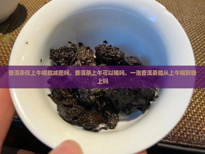 普洱茶在上午喝能减肥吗