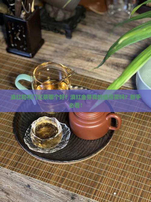 滇红和祁门红茶哪个好滇红金芽
