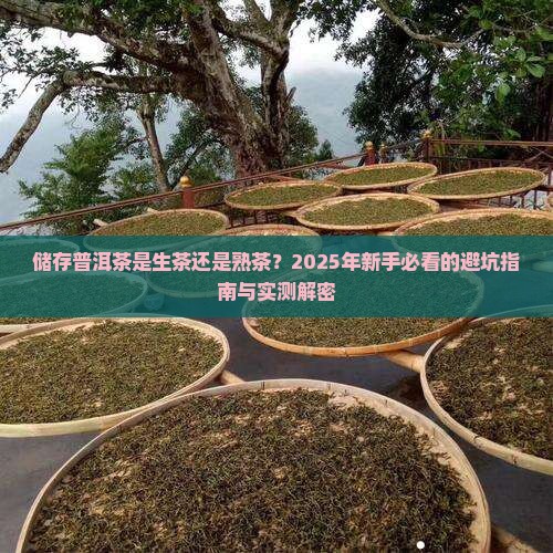 储存普洱茶是生茶还是熟茶