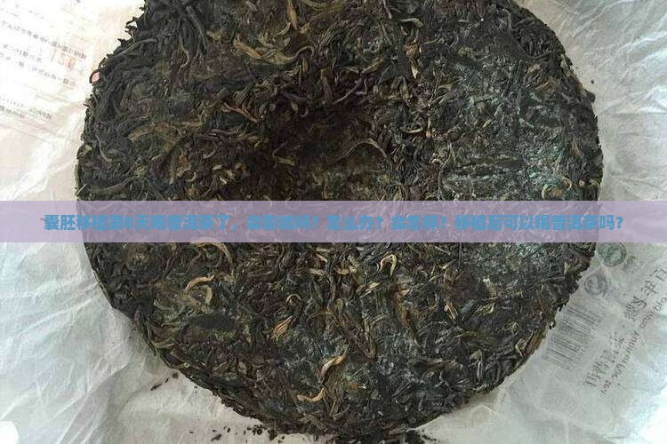 囊胚移植第8天喝普洱茶了