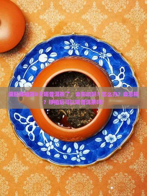 囊胚移植第8天喝普洱茶了