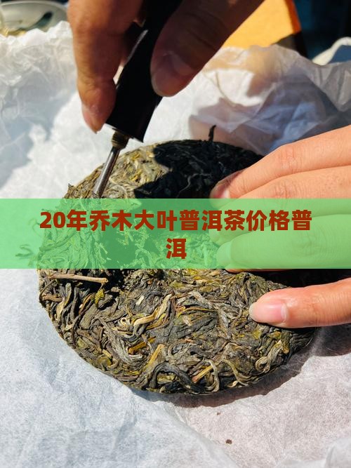 20年乔木大叶普洱茶