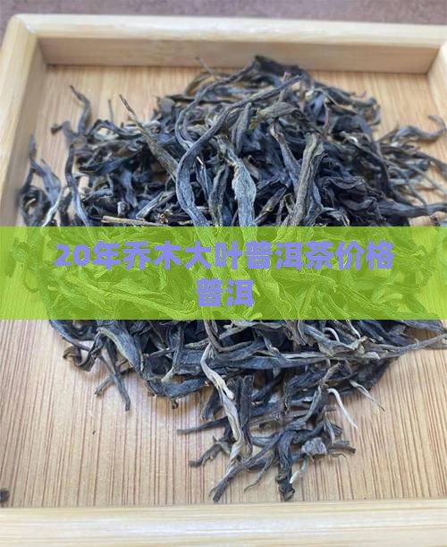 20年乔木大叶普洱茶