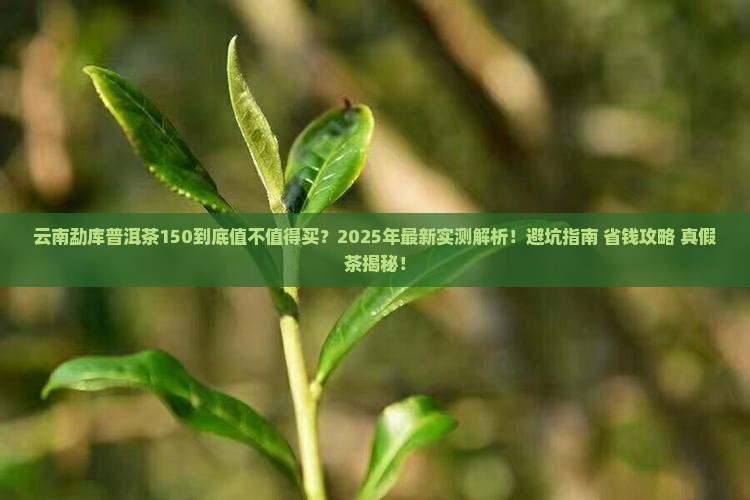 云南勐库普洱茶150